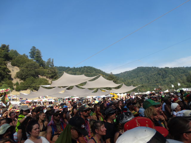 REGGAE on the RIVER 2014